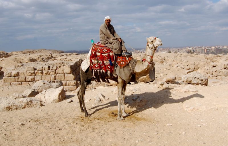 Un homme en rêve à propos d'un chameau