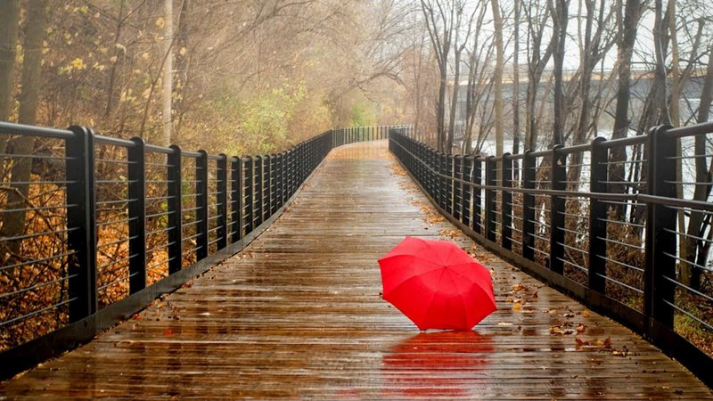 Parapluie Meneghetti