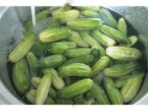 Mga pipino na pipino para sa taglamig