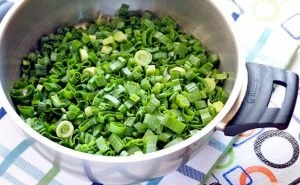 Tarte aux oignons verts et oeuf