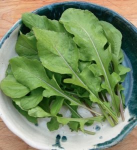 Ang salad na may pinausukang sausage, keso at arugula