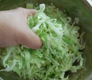 Young repolyo salad na may mga pipino