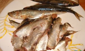 Salade De Sprat