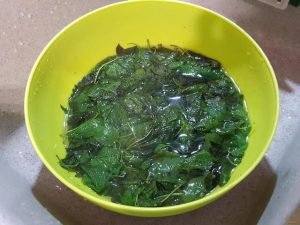 Dandelion at nettle salad