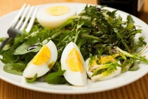 Dandelion at nettle salad