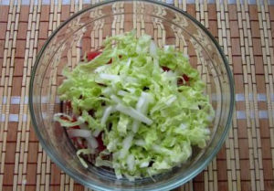 Salade de viande avec radis de melon d'eau et chou de Chine