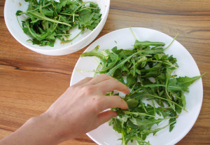 Salade de roquette