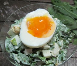 Sorrel Salad na may Egg