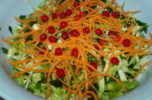 Salade de jeune chou, carottes et viorne