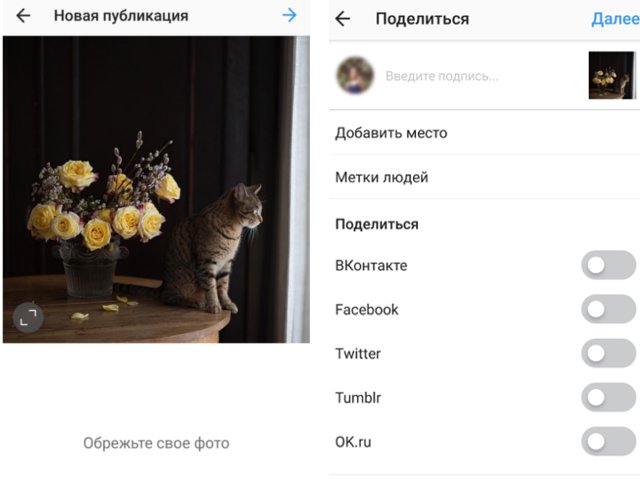 Meilleurs moyens de republier des photos et des vidéos sur et depuis Instagram