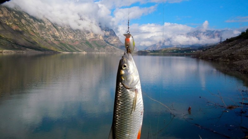 Complot de pêche