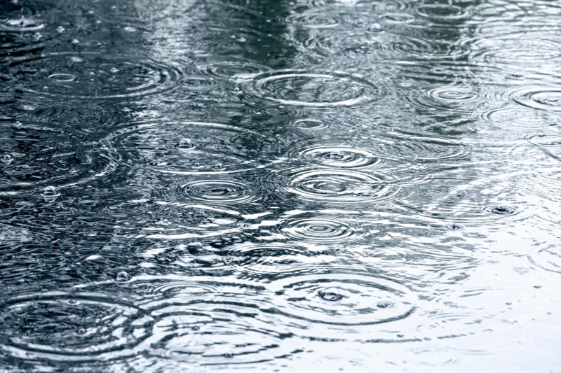 conséquences d'un complot de pluie