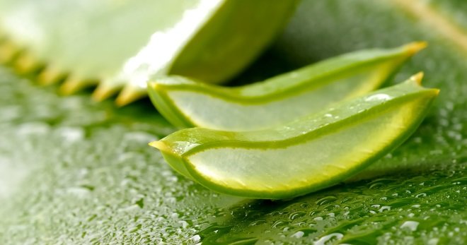 Aloe para sa maskara