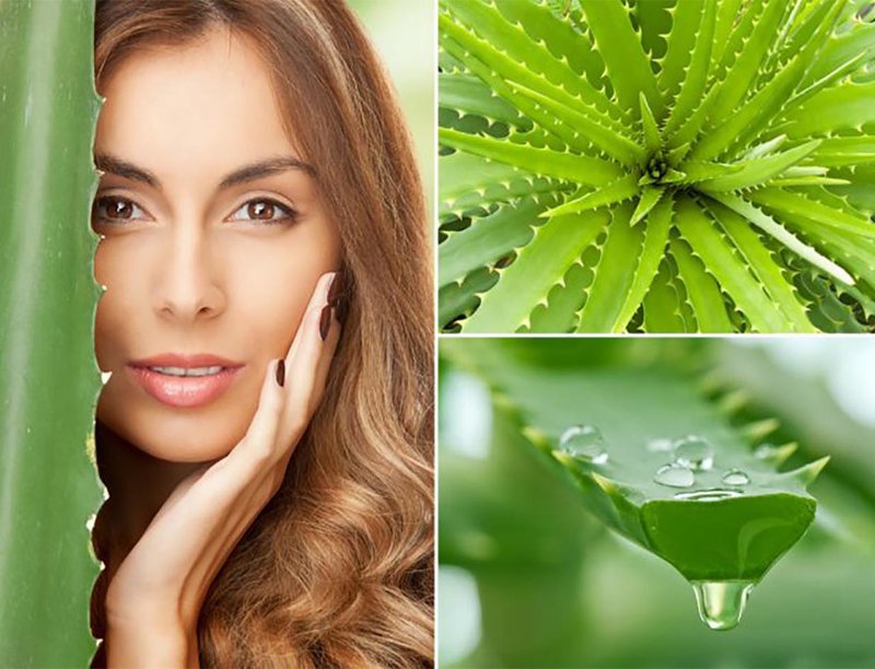 Mga maskara na may aloe juice para sa buhok