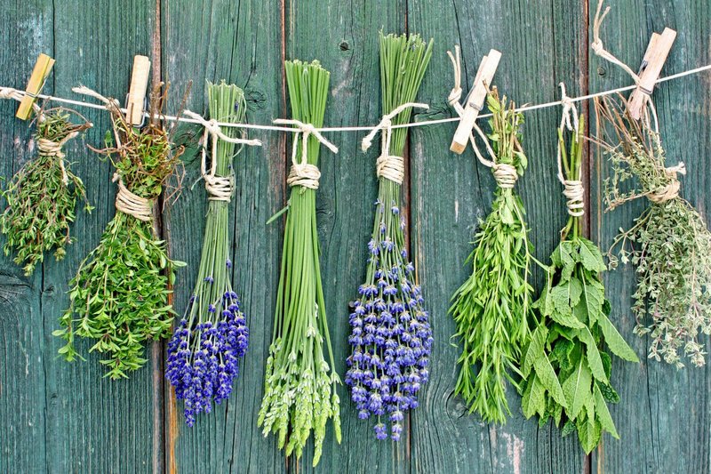 Herbes de croissance de cheveux