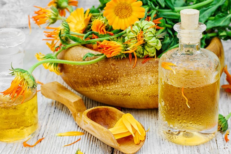 Calendula dans la composition de masques capillaires pour les pellicules