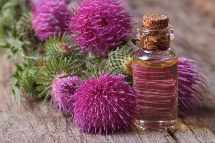 Burdock oil