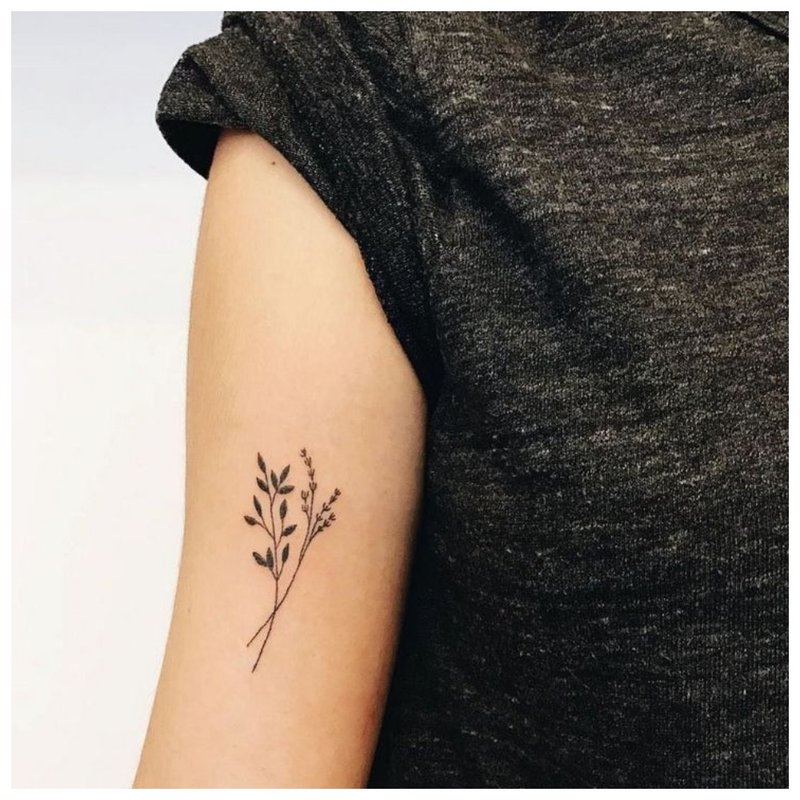 Combinant un tatouage de contour avec une plume