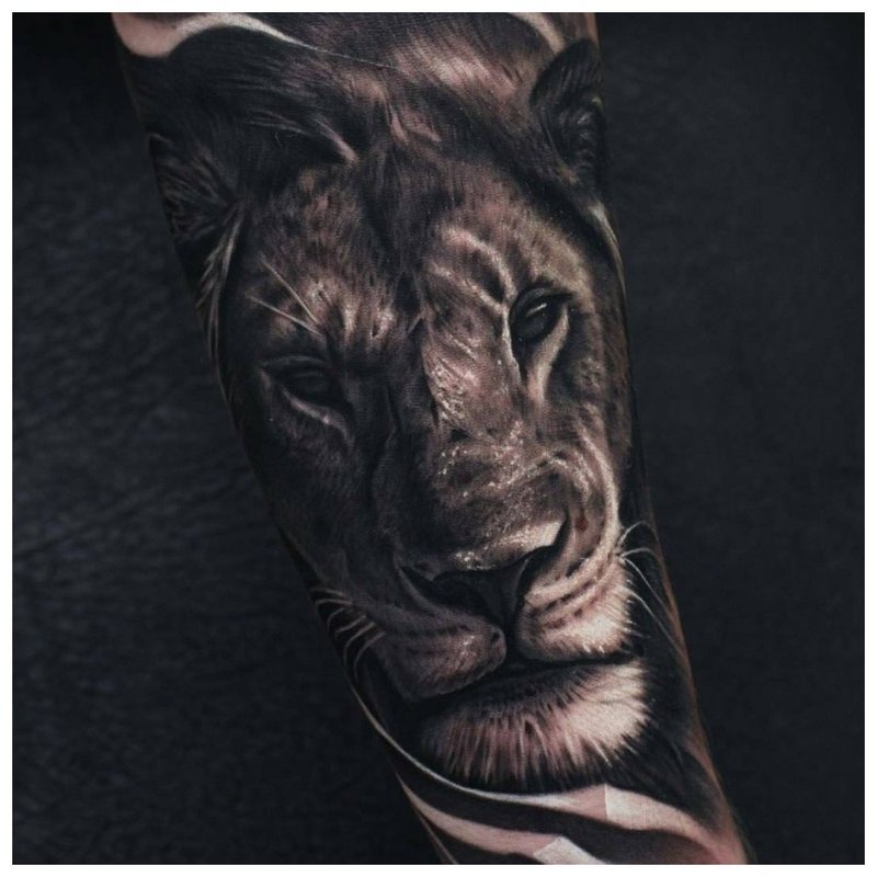 Tatouage animal sur le bras d'un homme