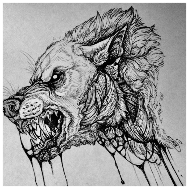 Ang bibig ni Wolf - sketch para sa tattoo