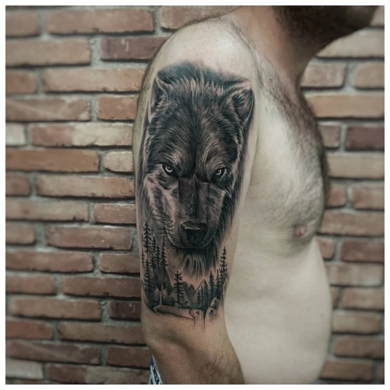 Wolf sa balikat ng isang lalaki - totoong tattoo