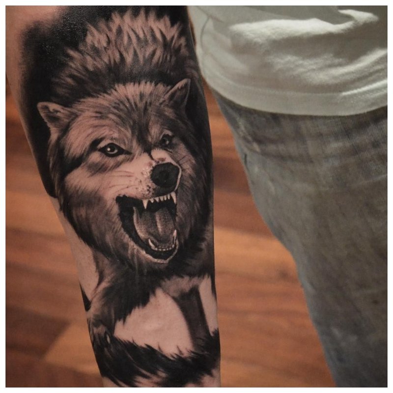 Wolf tattoo sa kamay ng isang tao