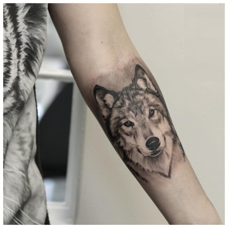 Wolf hitsura - tattoo sa braso