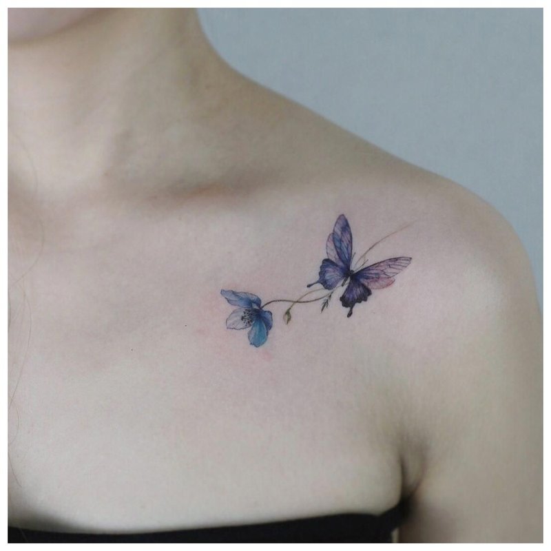 Papillon clavicule