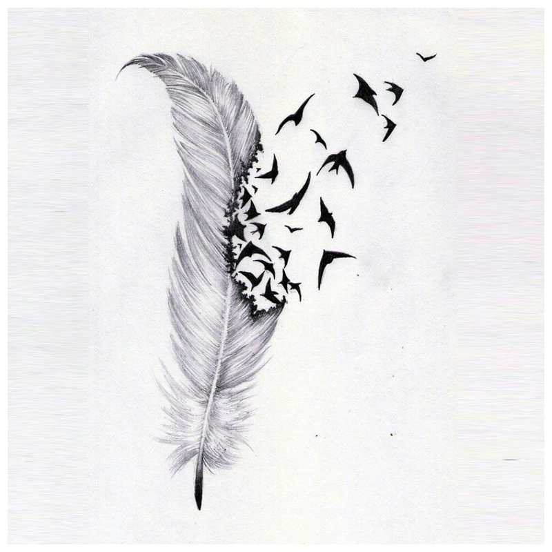 Plume - une belle esquisse pour un tatouage