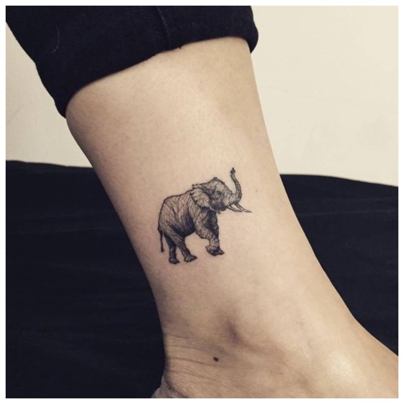 Elephant - tattoo tattoo