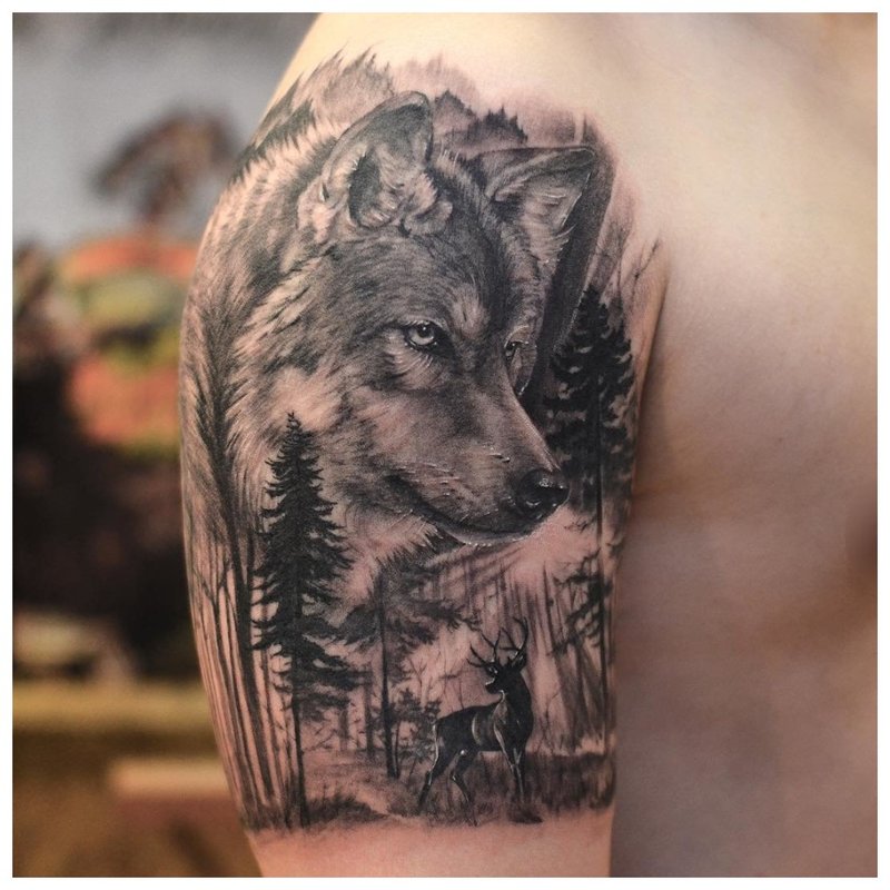 Wolf sa gubat - tattoo sa balikat ng isang lalaki