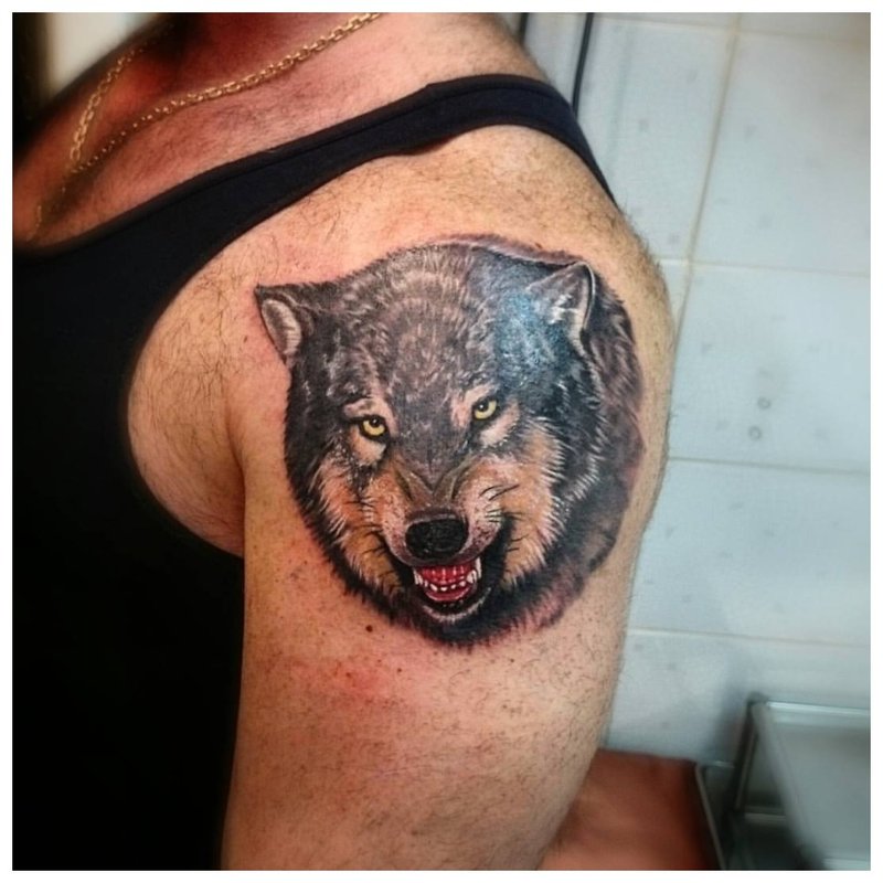 Grin ng isang lobo - tattoo sa balikat ng isang tao