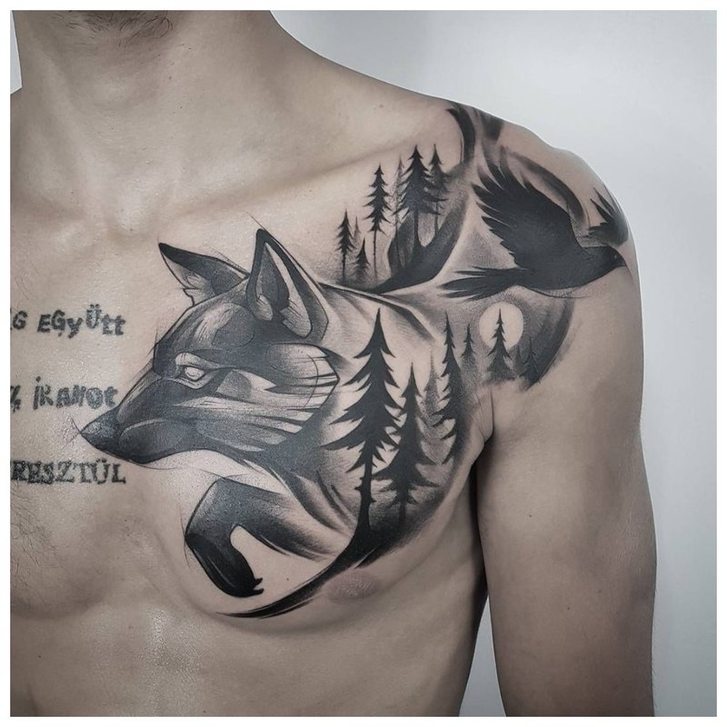 Wolf sa gubat - tattoo sa dibdib ng isang tao