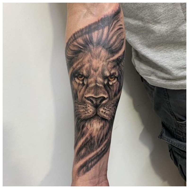 Lion - tattoo sa braso ng isang lalaki