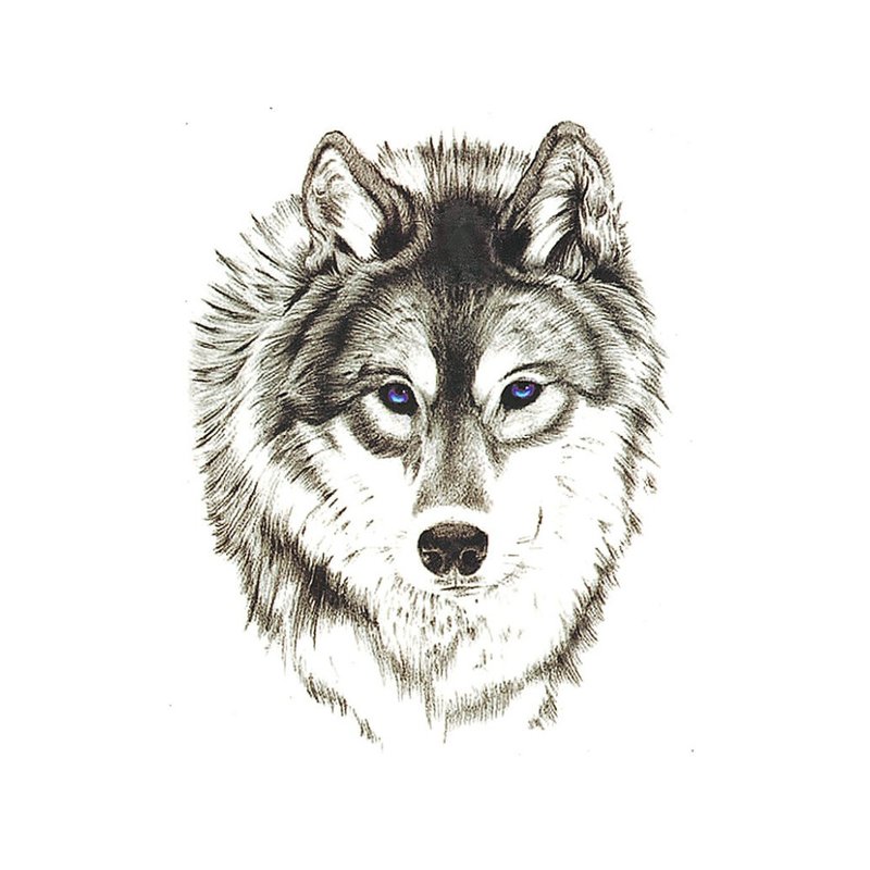 Sketch ng Wolf para sa tattoo