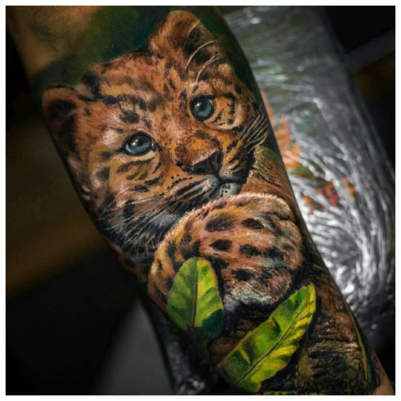 Realism Cheetah