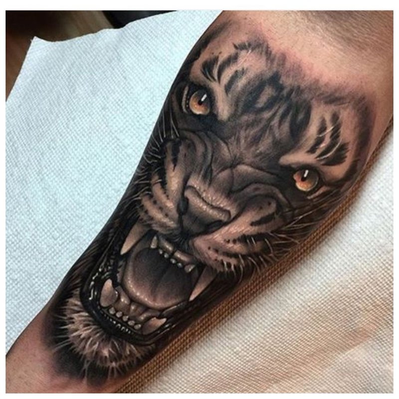 Tatouage animal sur l'avant-bras d'un homme