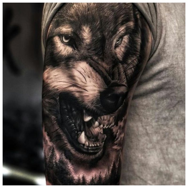 Agresibong lobo - lalaki tattoo