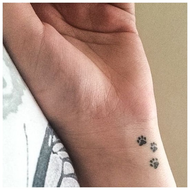 Paws ng tattoo ng hayop