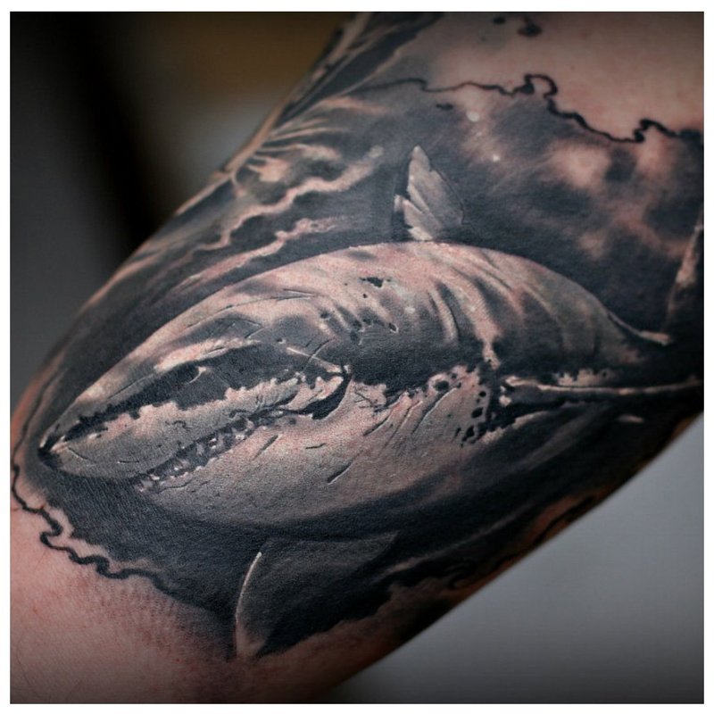 Realism Shark