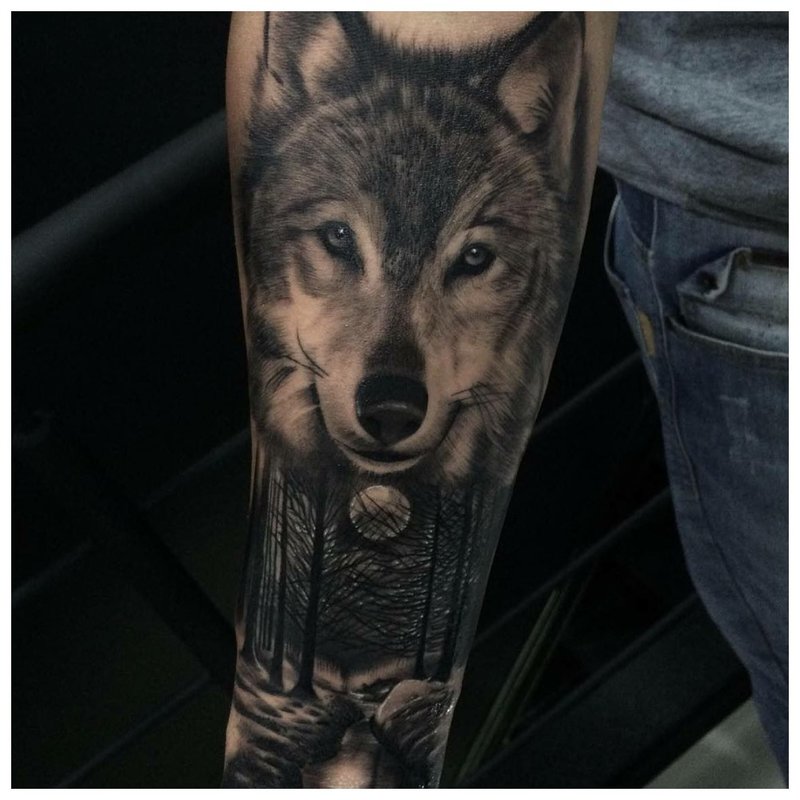 Mukha ng Wolf - tattoo sa braso ng isang lalaki