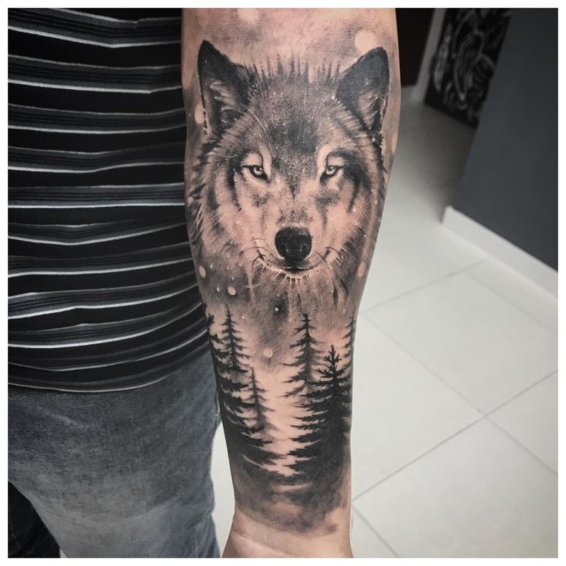 Wolf sa gubat - tattoo sa braso ng isang tao