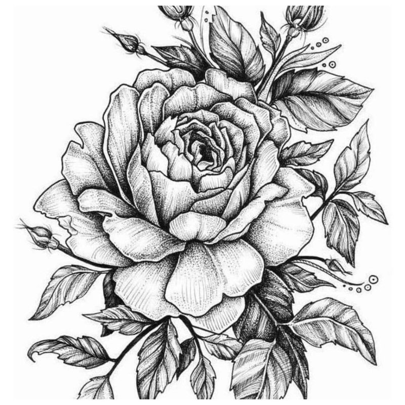 Rose - sketch para sa tattoo