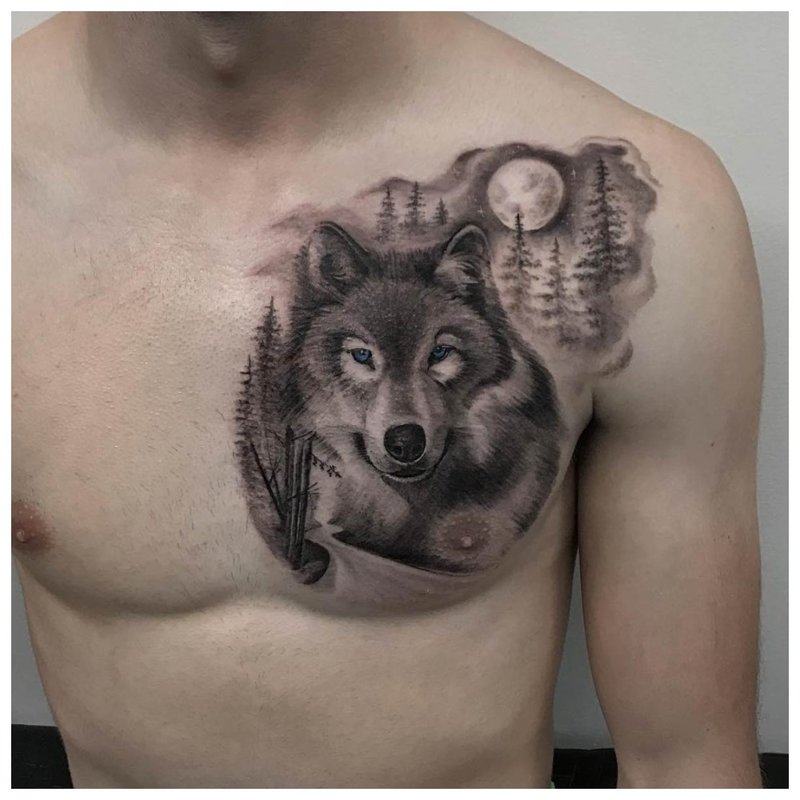 Kalmadong lobo - tattoo sa dibdib ng isang lalaki