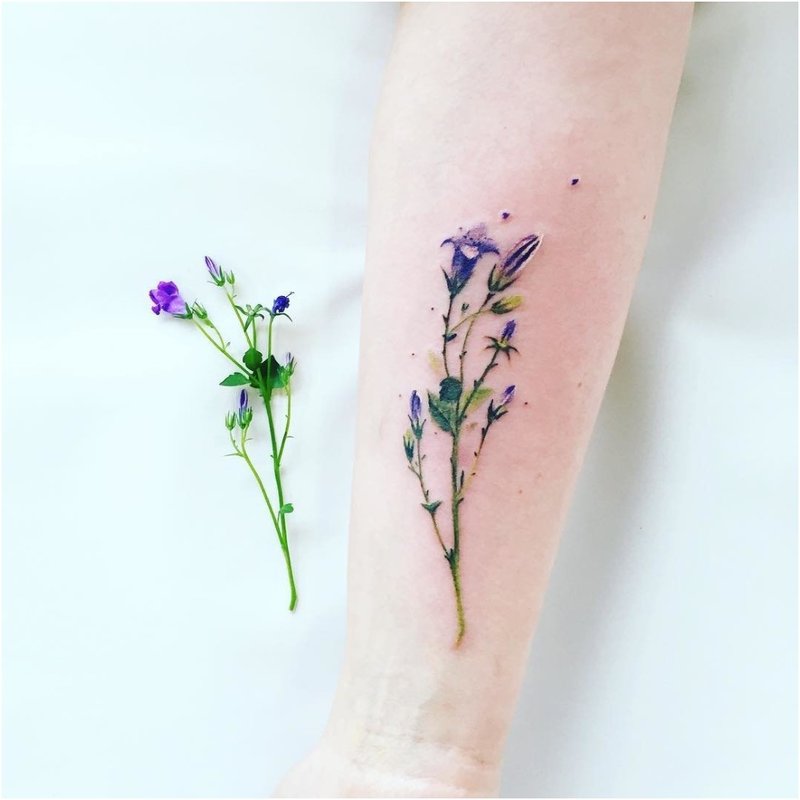 Tatouages ​​à la lavande aquarelle