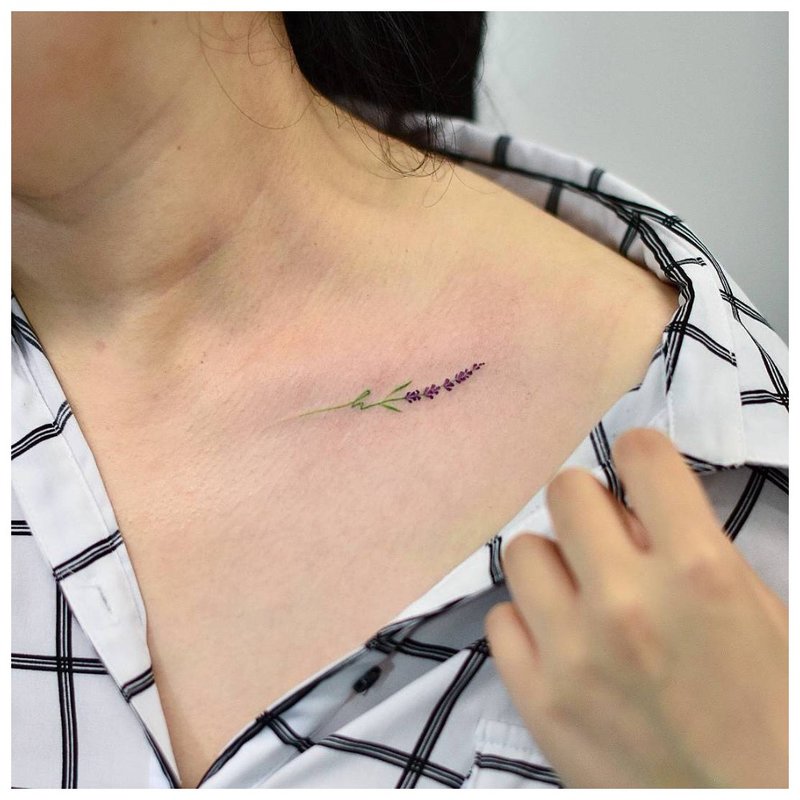 Brindille douce - tatouage de la clavicule