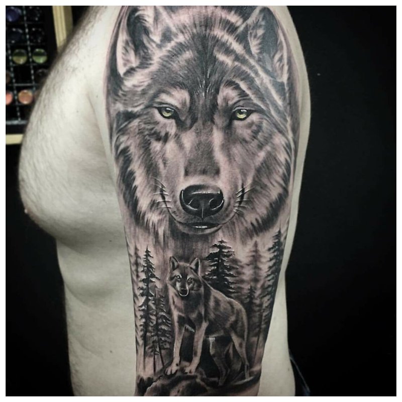 Loup réaliste - tatouage sur l'épaule