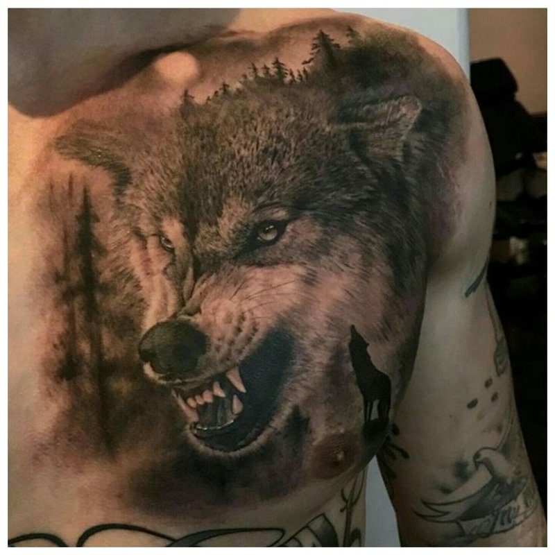 Nagngisi ang lobo - isang tattoo sa dibdib ng lalaki