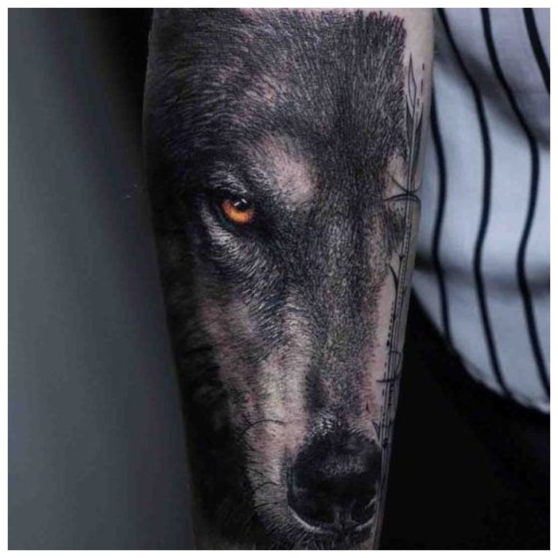 Wolf hitsura - male tattoo