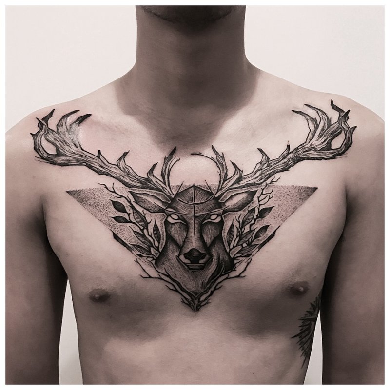 Tatouage animal sur la poitrine d’un homme